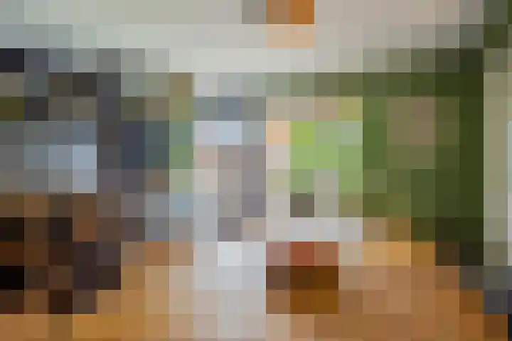 Sterreschans 112 Oegstgeest thumbnail 25