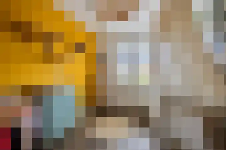Sterreschans 112 Oegstgeest thumbnail 30
