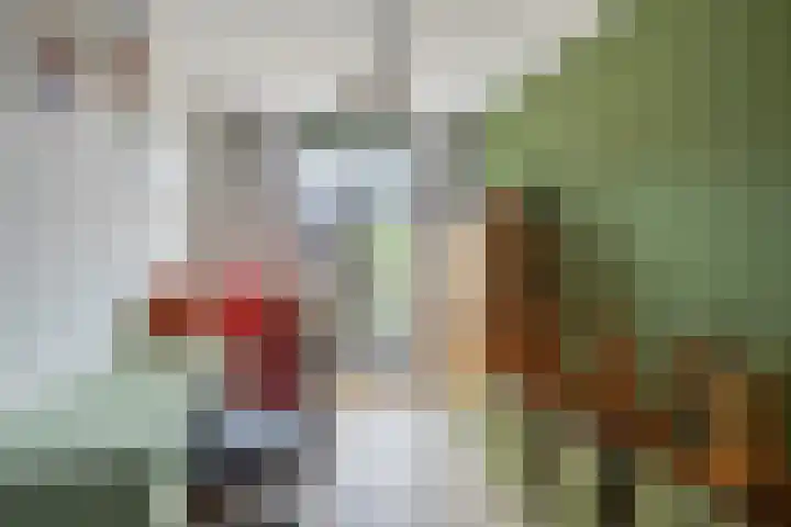 Sterreschans 112 Oegstgeest thumbnail 32