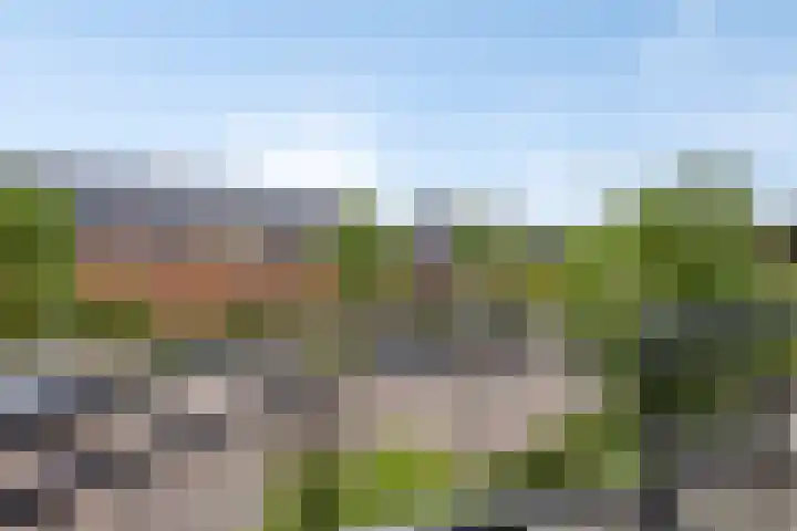 Sterreschans 112 Oegstgeest thumbnail 33
