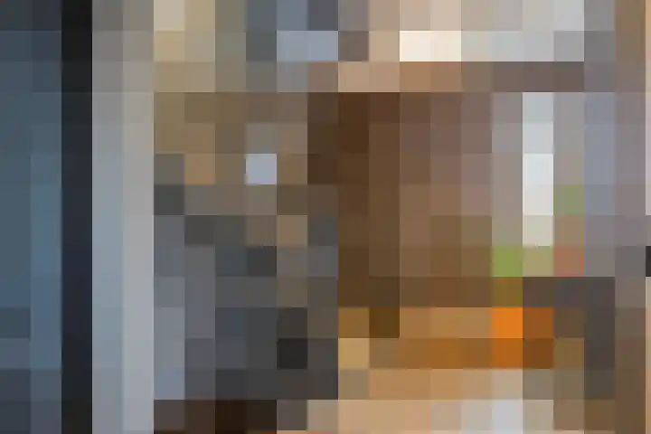 Sterreschans 112 Oegstgeest thumbnail 34