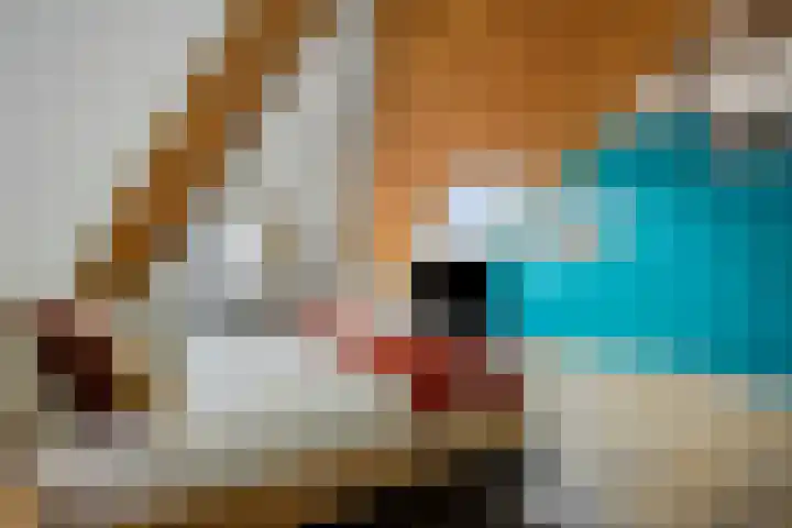 Sterreschans 112 Oegstgeest thumbnail 36