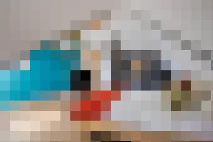 Sterreschans 112 Oegstgeest thumbnail 37