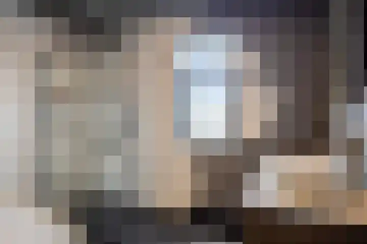 Sterreschans 112 Oegstgeest thumbnail 4