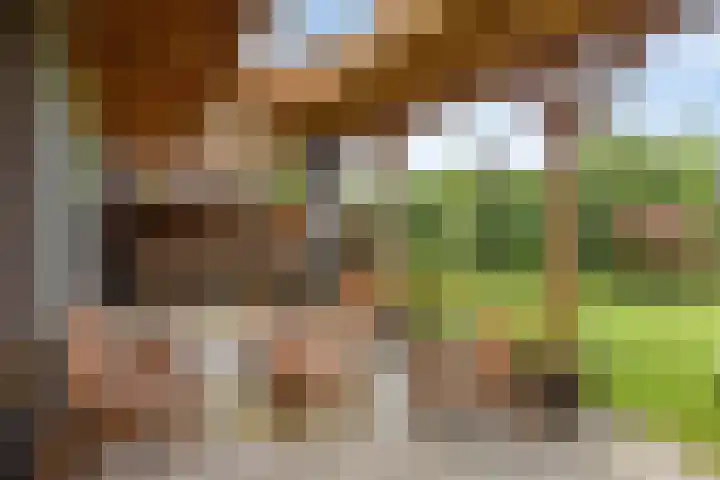 Sterreschans 112 Oegstgeest thumbnail 41