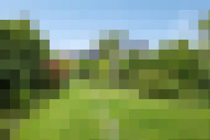 Sterreschans 112 Oegstgeest thumbnail 42