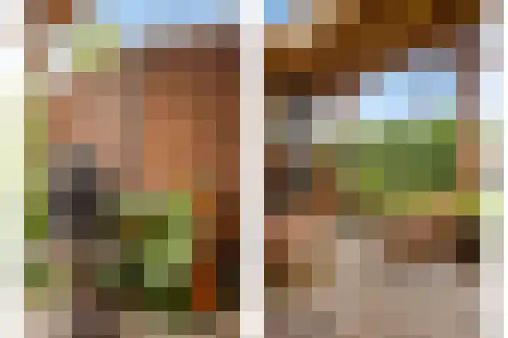 Sterreschans 112 Oegstgeest thumbnail 43