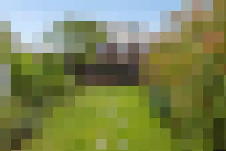 Sterreschans 112 Oegstgeest thumbnail 44