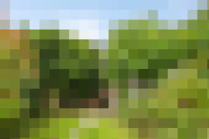 Sterreschans 112 Oegstgeest thumbnail 45