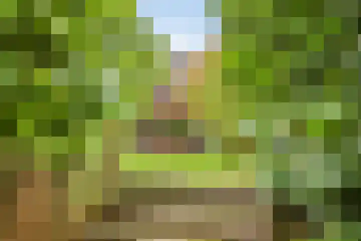 Sterreschans 112 Oegstgeest thumbnail 47