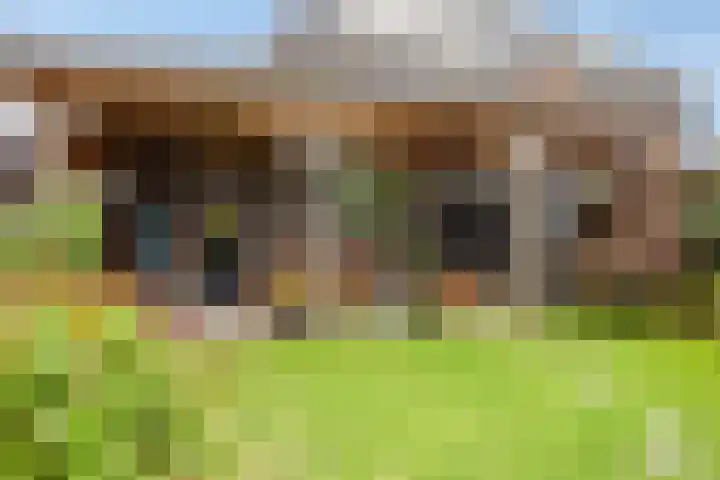 Sterreschans 112 Oegstgeest thumbnail 48