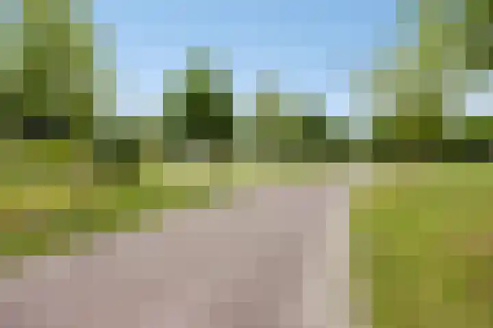 Sterreschans 112 Oegstgeest thumbnail 51