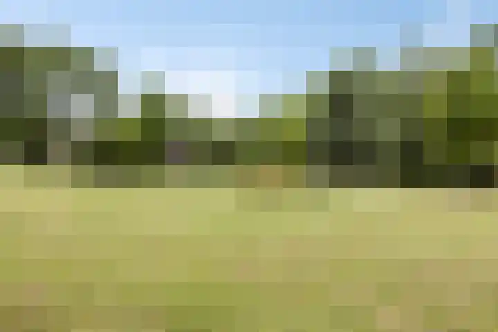 Sterreschans 112 Oegstgeest thumbnail 52