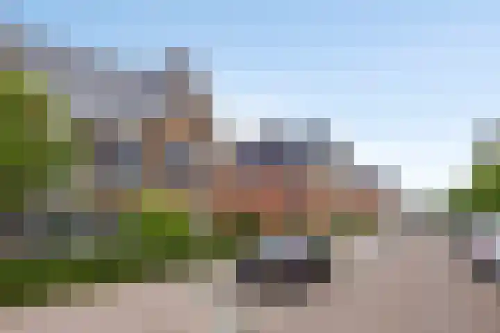Sterreschans 112 Oegstgeest thumbnail 7