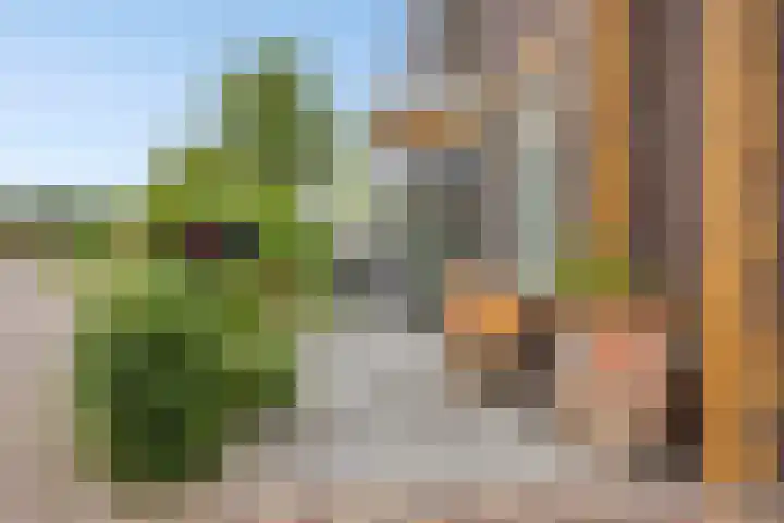 Sterreschans 112 Oegstgeest thumbnail 8
