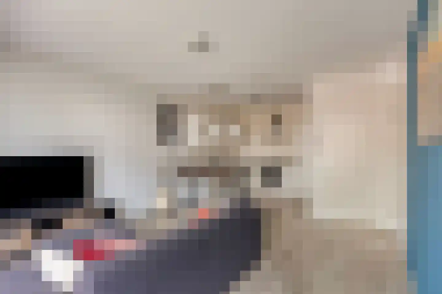 Sterreschans 115 Oegstgeest thumbnail 10