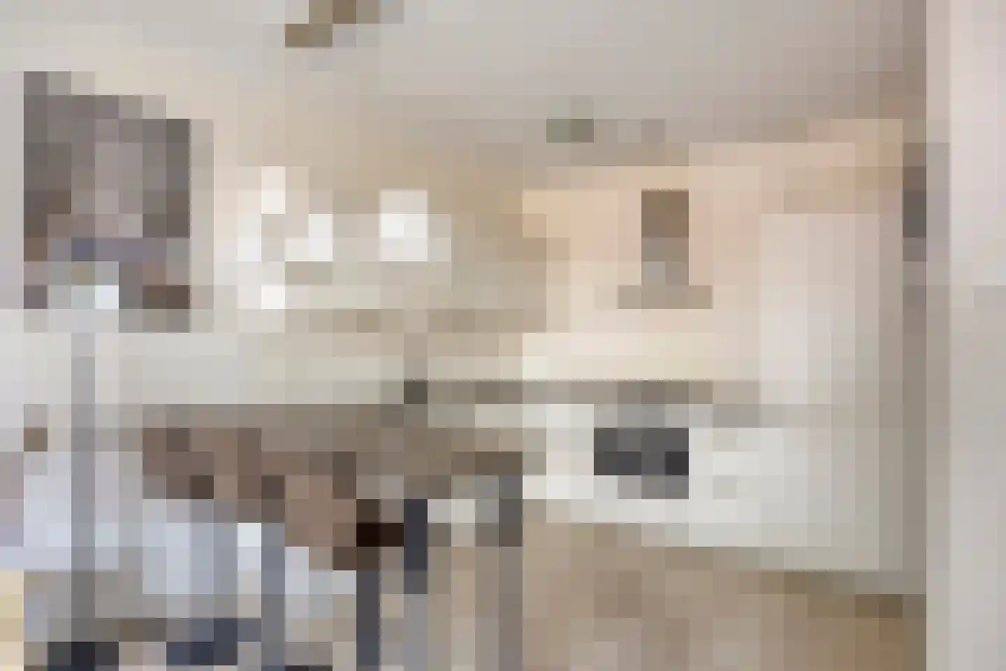 Sterreschans 115 Oegstgeest thumbnail 11
