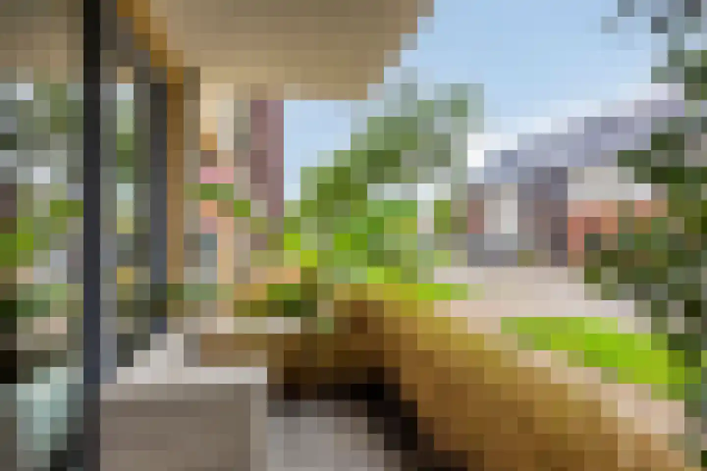 Sterreschans 115 Oegstgeest thumbnail 15