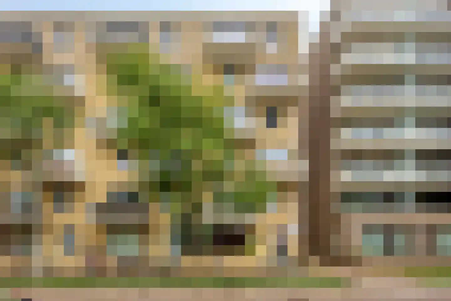 Sterreschans 115 Oegstgeest thumbnail 4