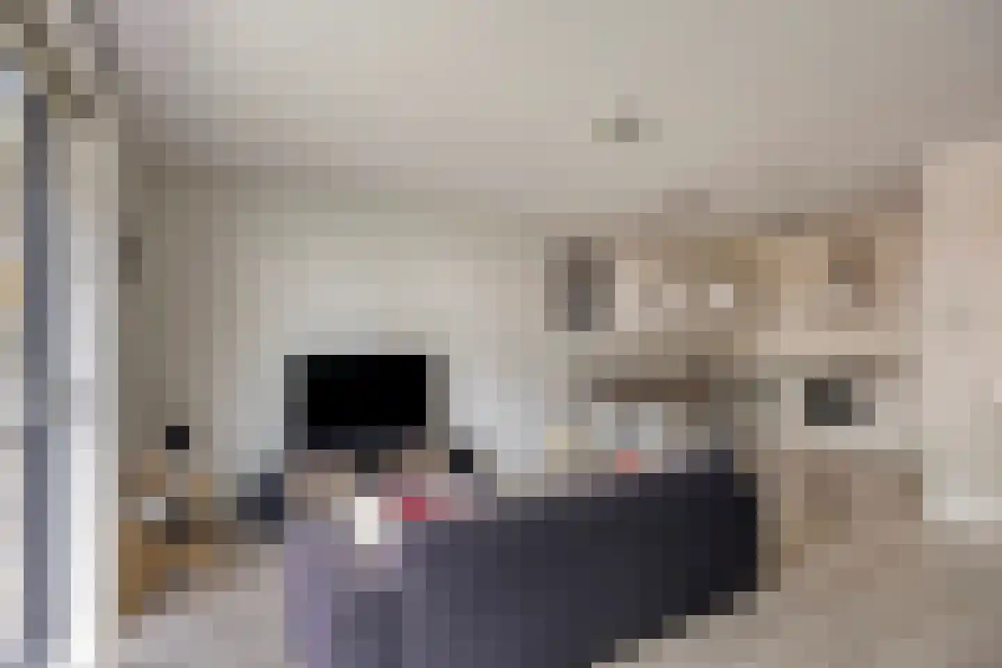 Sterreschans 115 Oegstgeest thumbnail 7