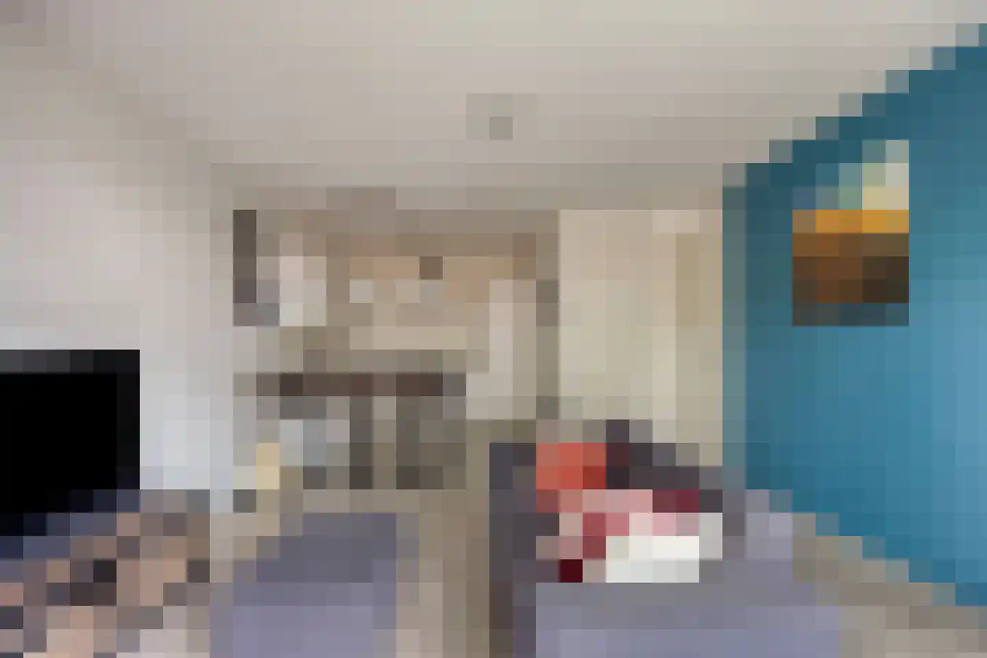 Sterreschans 115 Oegstgeest thumbnail 8