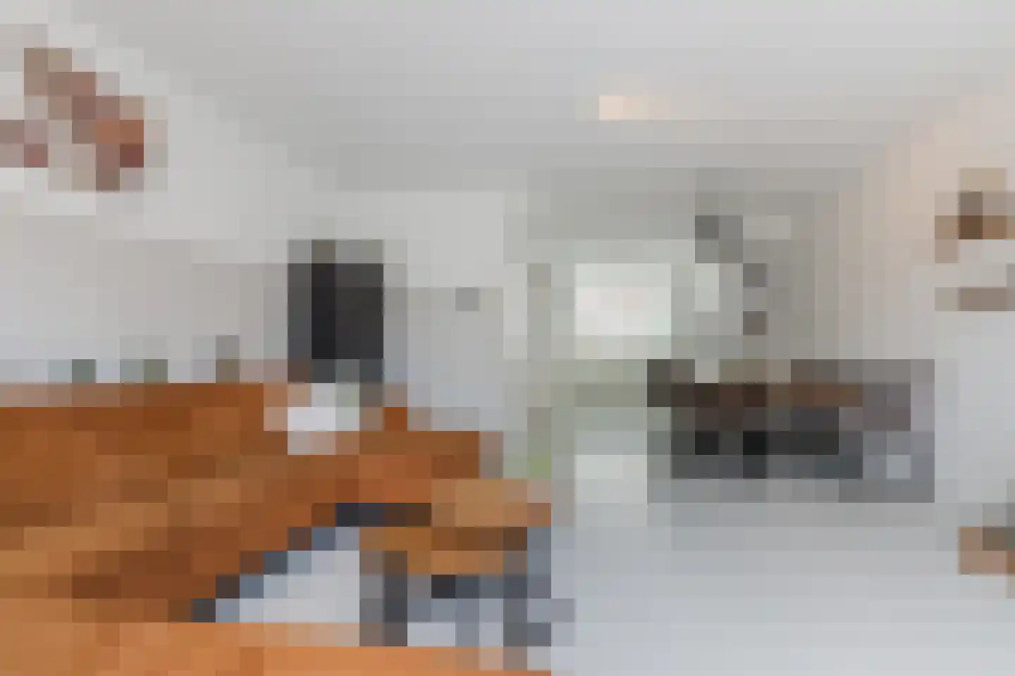 Sterreschans 12 Assendelft thumbnail 11