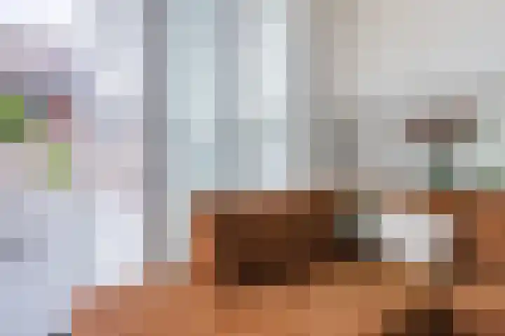 Sterreschans 12 Assendelft thumbnail 12