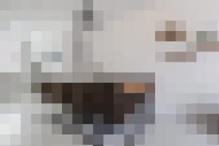 Sterreschans 12 Assendelft thumbnail 16