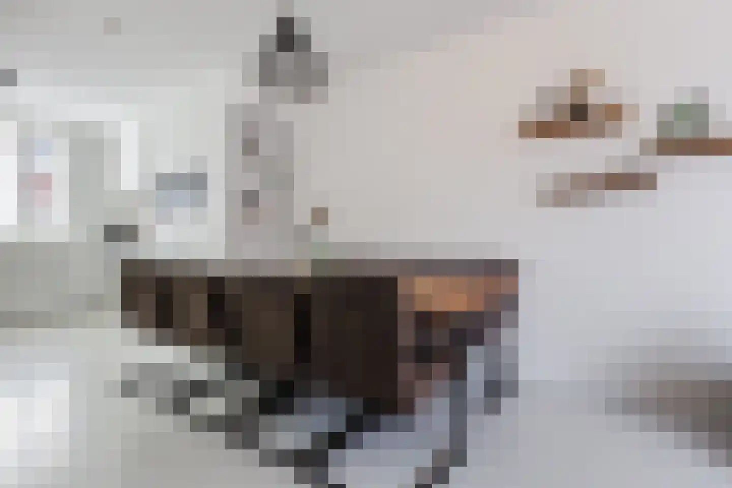 Sterreschans 12 Assendelft thumbnail 16