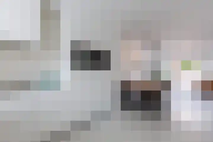 Sterreschans 12 Assendelft thumbnail 18