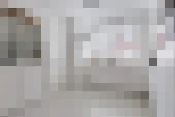 Sterreschans 12 Assendelft thumbnail 19