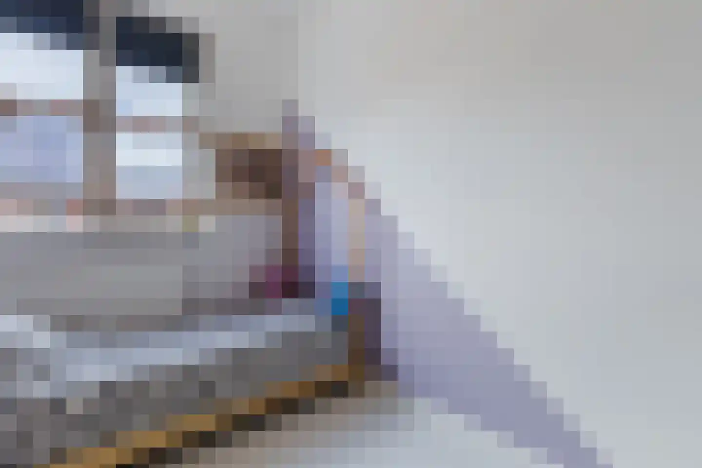 Sterreschans 12 Assendelft thumbnail 24