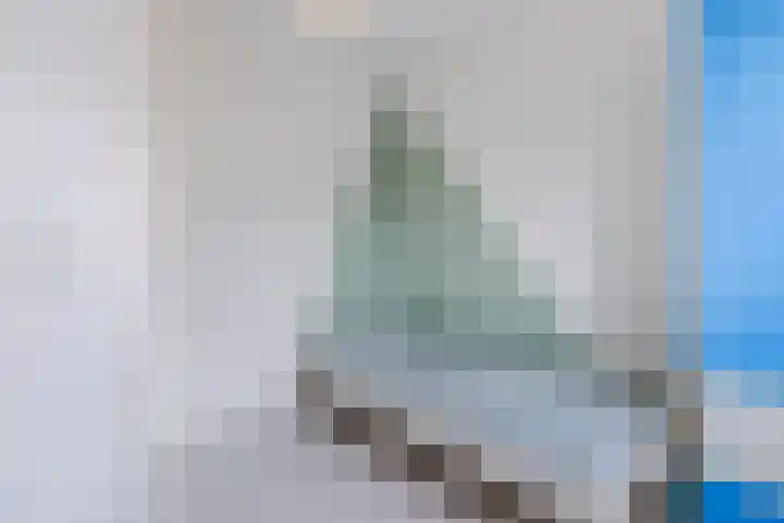 Sterreschans 12 Assendelft thumbnail 26