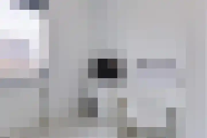 Sterreschans 12 Assendelft thumbnail 29
