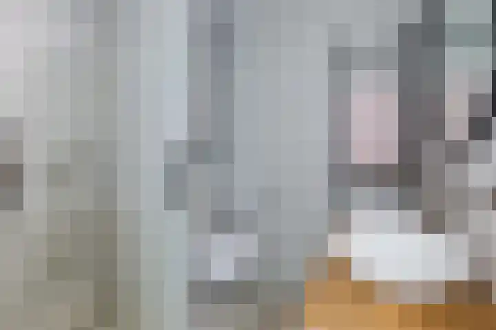 Sterreschans 12 Assendelft thumbnail 30