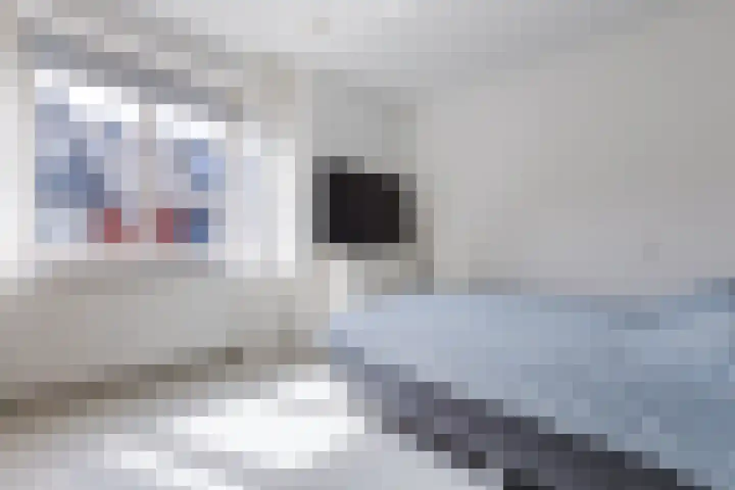 Sterreschans 12 Assendelft thumbnail 33