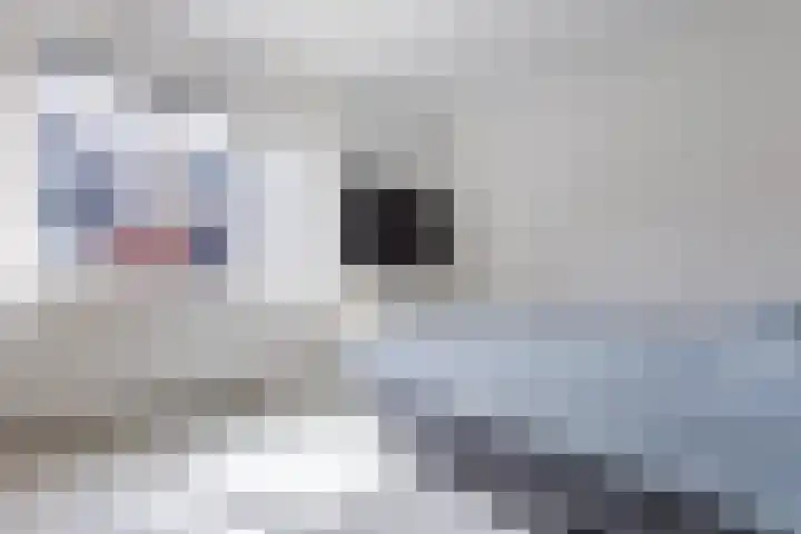 Sterreschans 12 Assendelft thumbnail 33