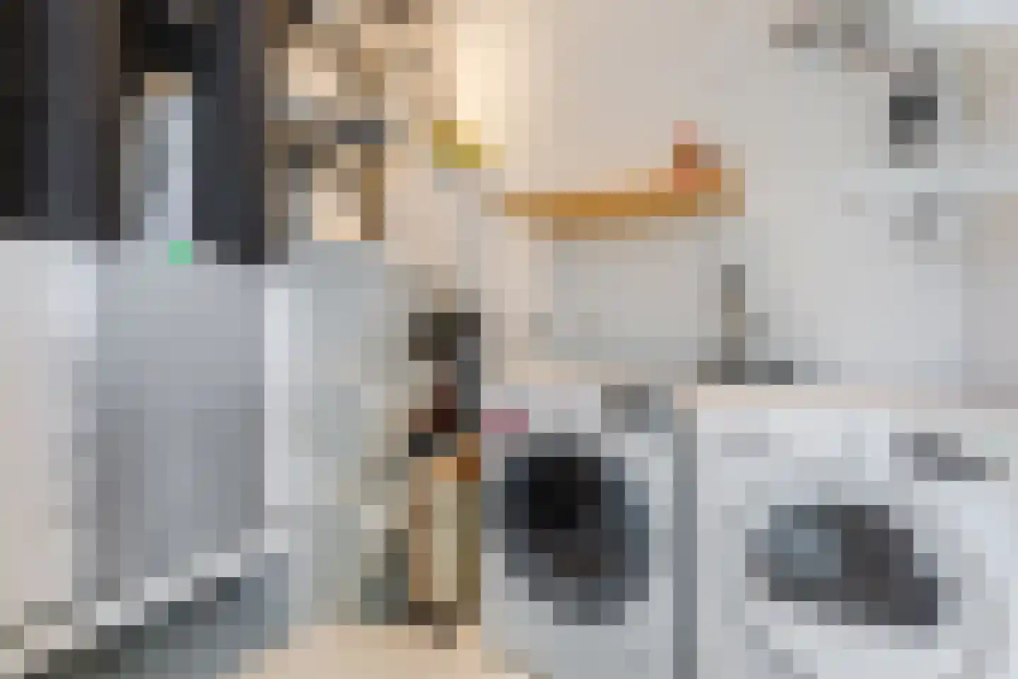 Sterreschans 12 Assendelft thumbnail 37