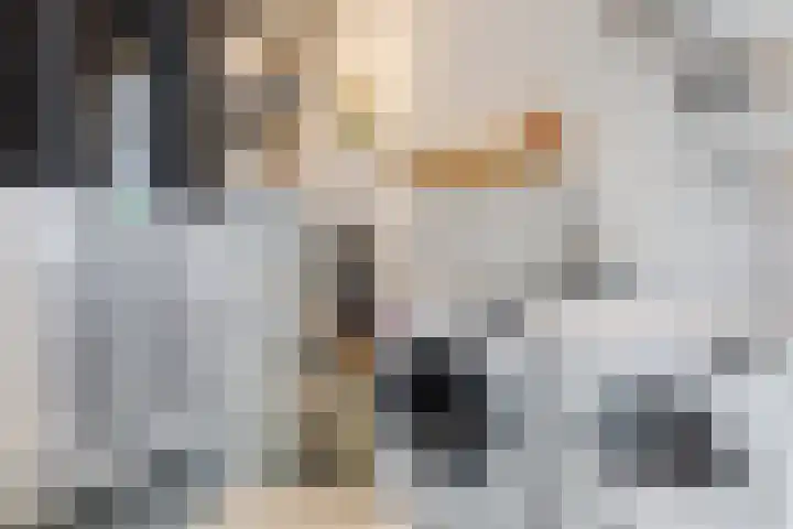 Sterreschans 12 Assendelft thumbnail 37