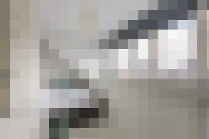 Sterreschans 12 Assendelft thumbnail 39