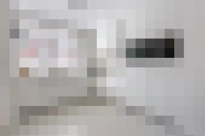Sterreschans 12 Assendelft thumbnail 4