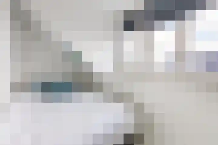 Sterreschans 12 Assendelft thumbnail 41