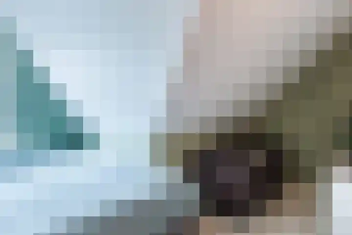 Sterreschans 12 Assendelft thumbnail 44