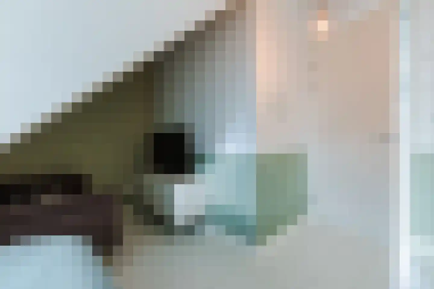 Sterreschans 12 Assendelft thumbnail 45