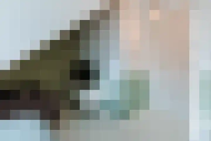 Sterreschans 12 Assendelft thumbnail 45