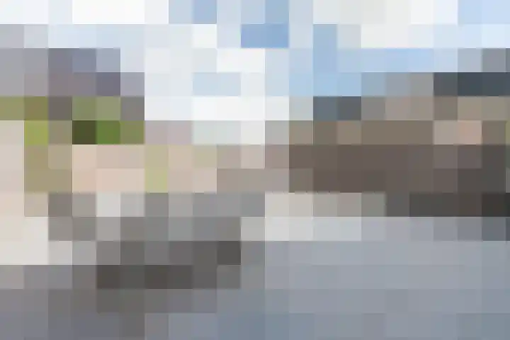 Sterreschans 12 Assendelft thumbnail 50