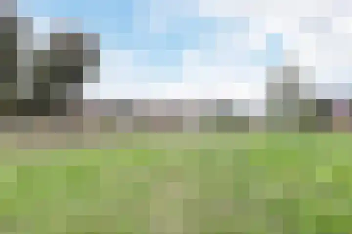 Sterreschans 12 Assendelft thumbnail 55