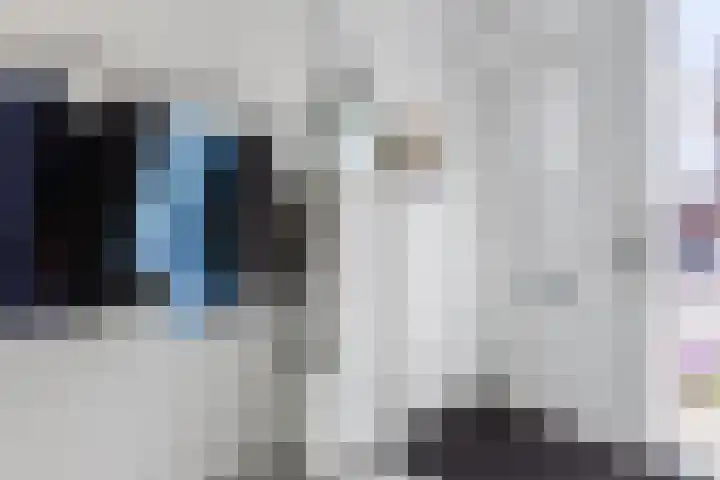 Sterreschans 12 Assendelft thumbnail 7