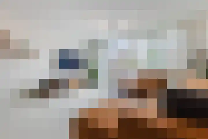 Sterreschans 12 Assendelft thumbnail 9