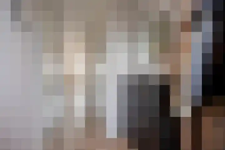 Sterreschans 125 Oegstgeest thumbnail 10